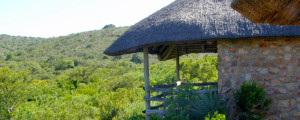 Lalibela Private Game Reserve