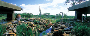 Earth Lodge, Sabi Sabi