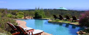 Cape and Garden Route south africa Vacation Package