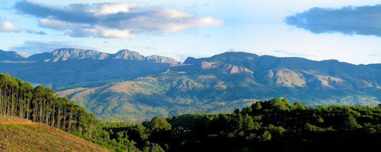 Limpopo Region